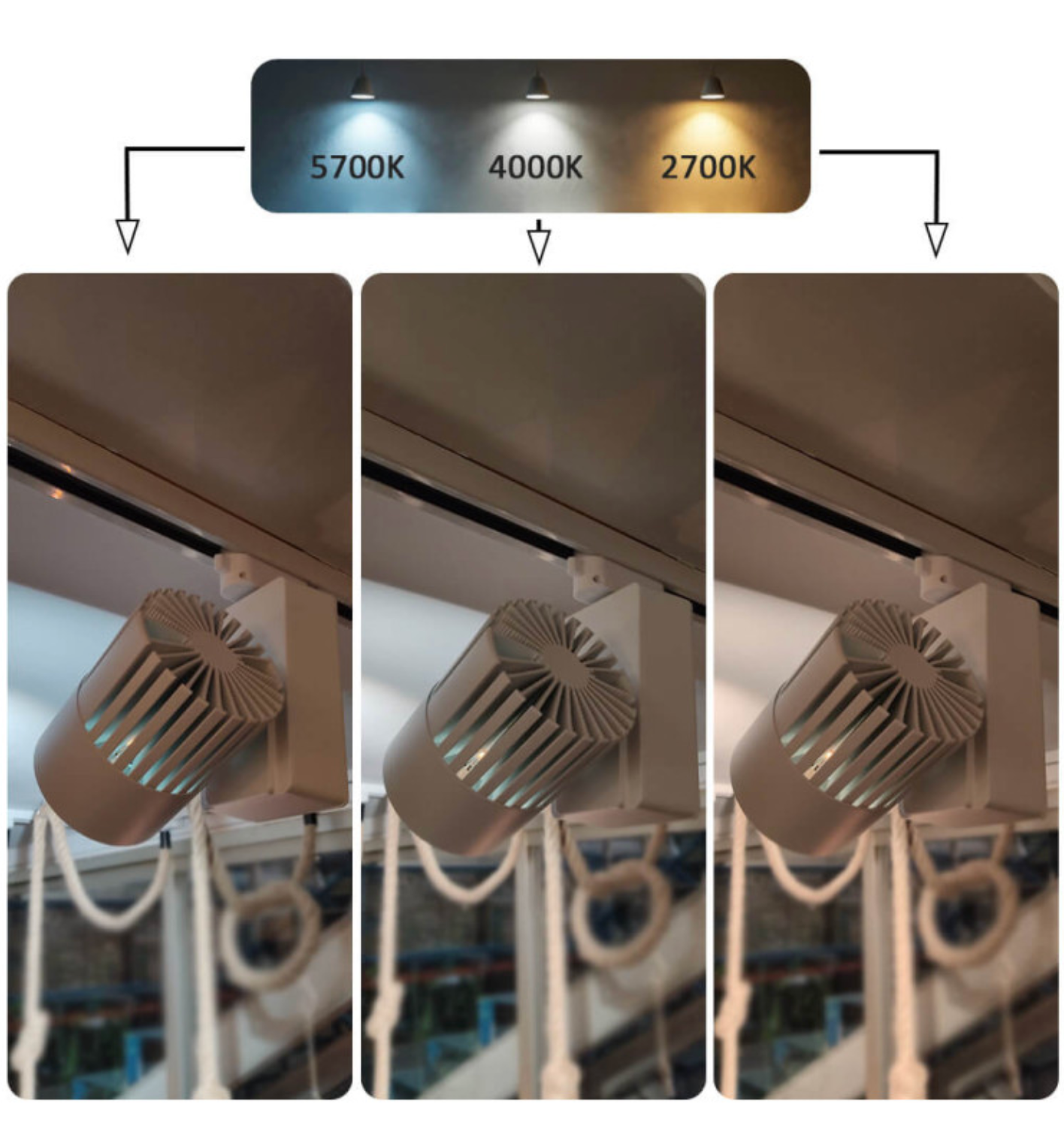 LED Spotlight 40W 3CCT Trefas Vit