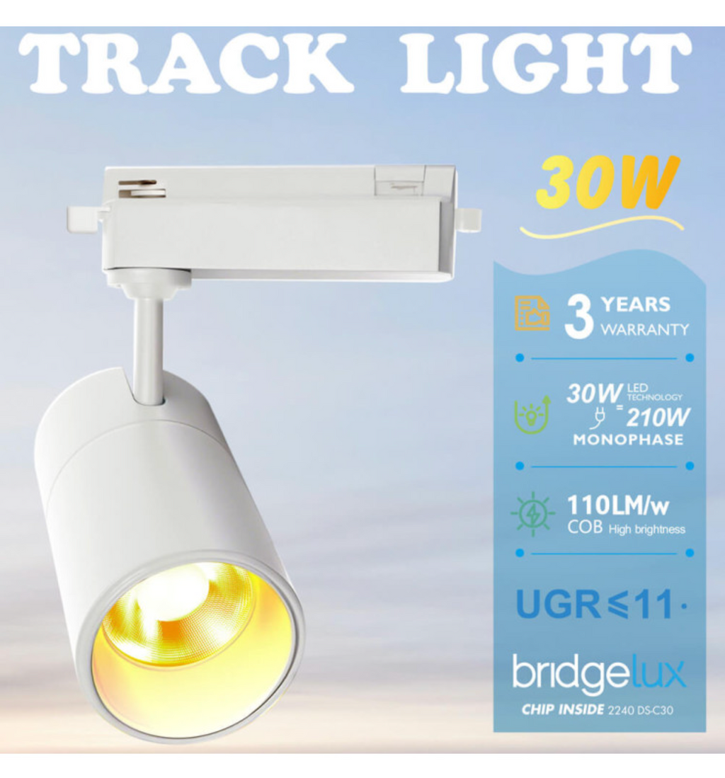 LED Spotlight 30W 3000K Vit